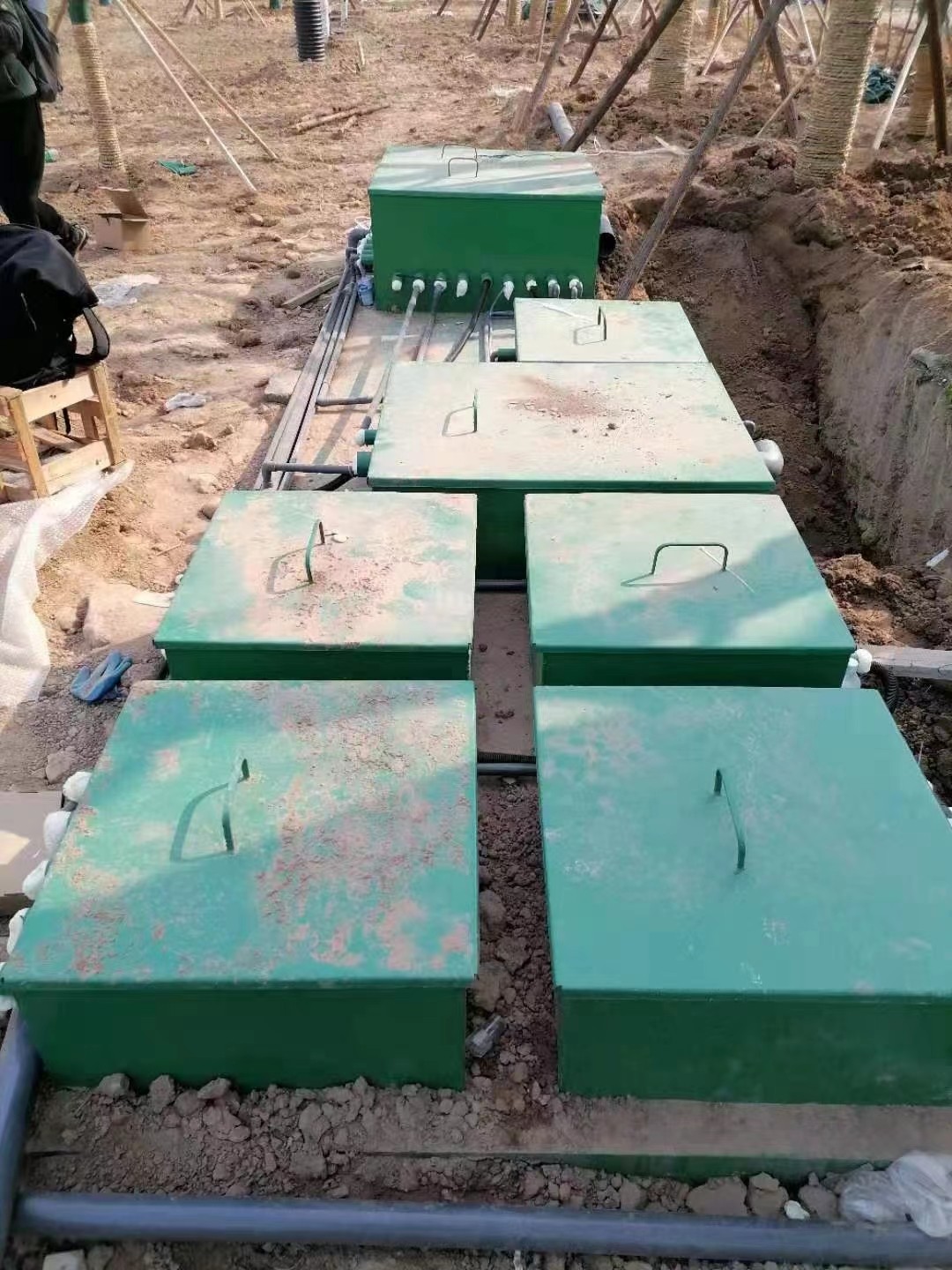 654c9ee26de79.jpg